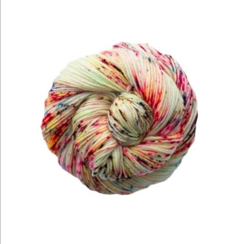 231_Seaslug-