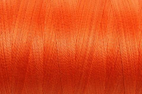 50_celosia-orange