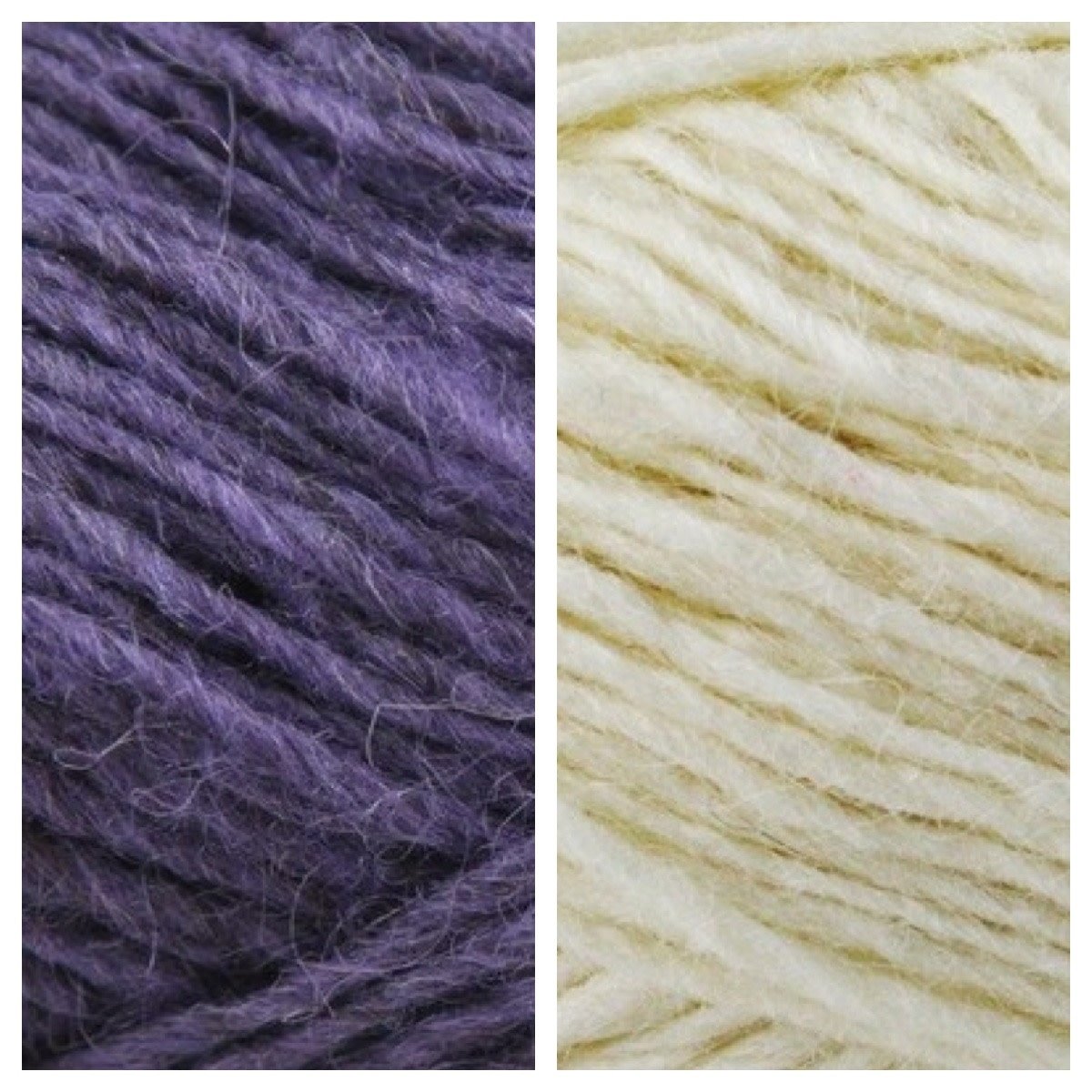 Grape-White