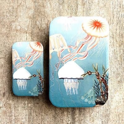Jelly Fish tin-