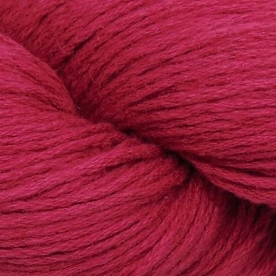 Q43913-Raspberry_w
