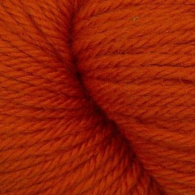 Q63310 Pumpkin
