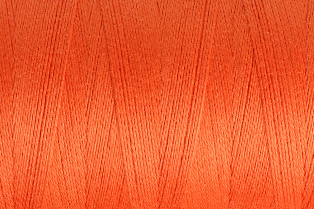 UMC850_Celosia_Orange