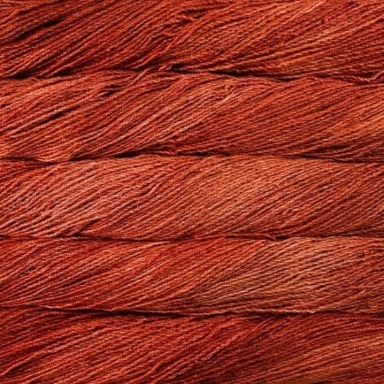 895_Dried Orange