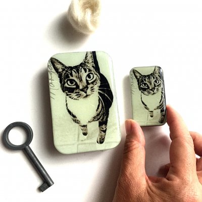 Cat tin2_400.jpg
