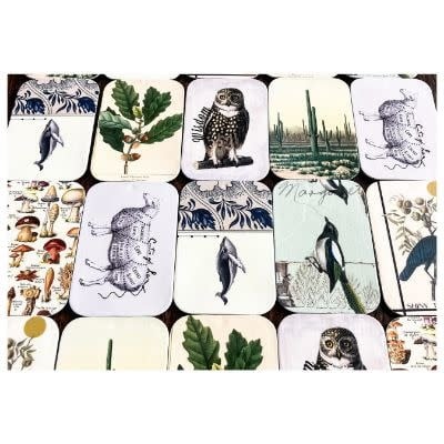 Assorted tins-