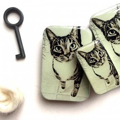 Cat tin_400.jpg