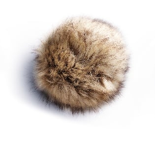 Pompom-50192