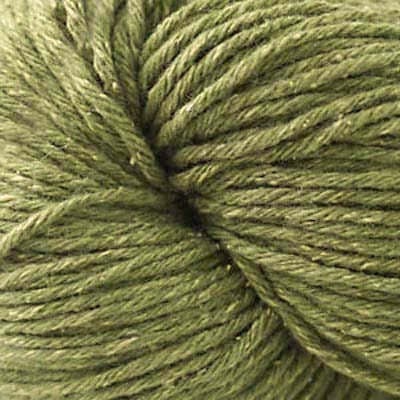 Q0270-21 Fern
