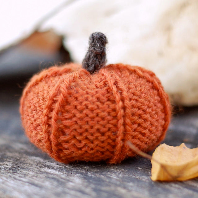 JackBeLittle Pumpkin.jpg