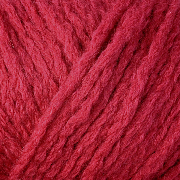 Vibe-1555_0